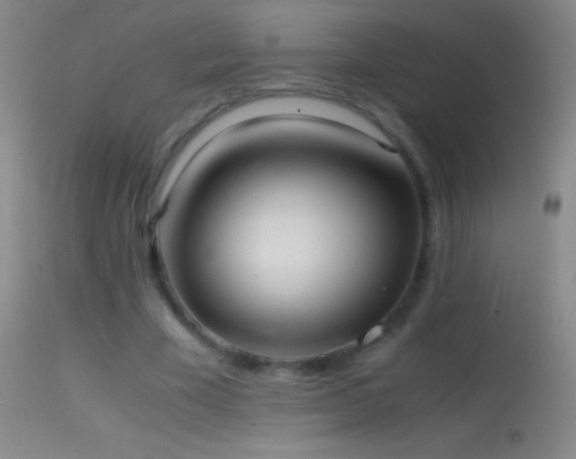 X0000114660585200910201532