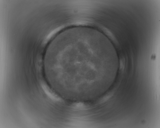 X0000114660588200910201532