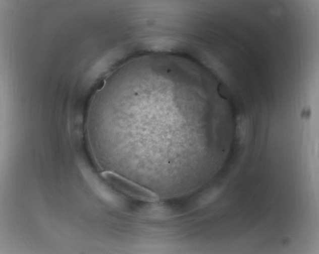 X0000114660589200910201532