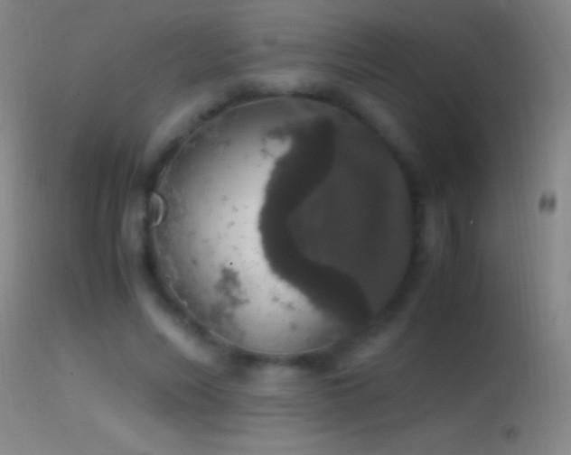 X0000114660590200910201532