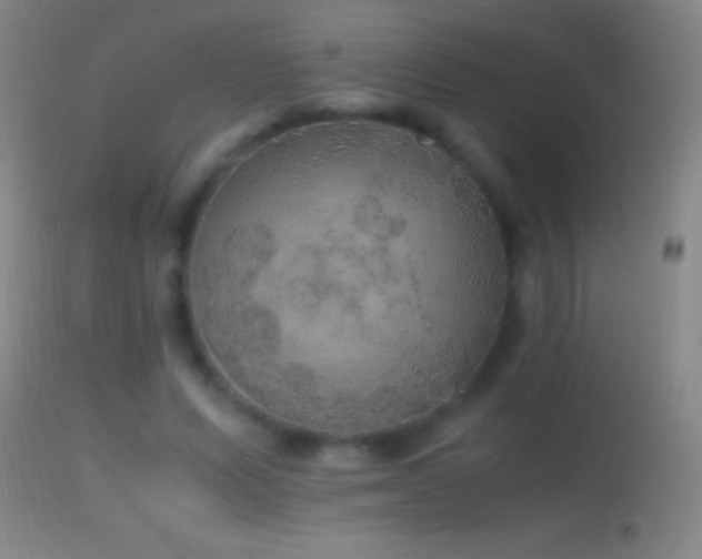 X0000114660591200910201532