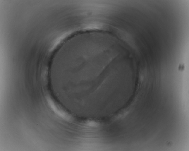 X0000114660592200910201532