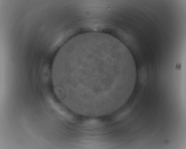 X0000114660594200910201532