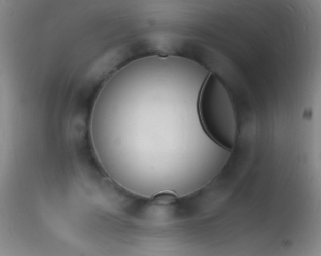 X0000114660595200910201532