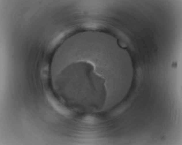 X0000114660596200910201532