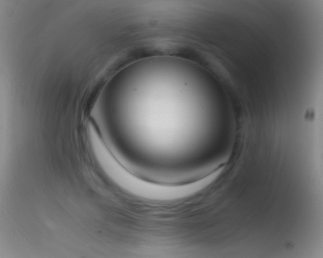 X0000114660597200910201532