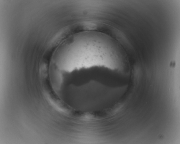 X0000114660598200910201532