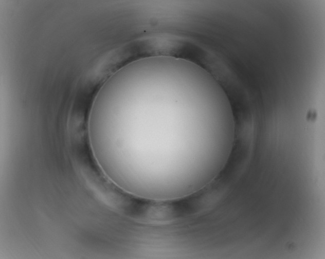 X0000114660599200910201532