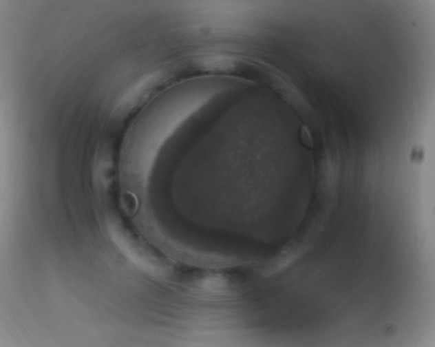 X0000114660600200910201532