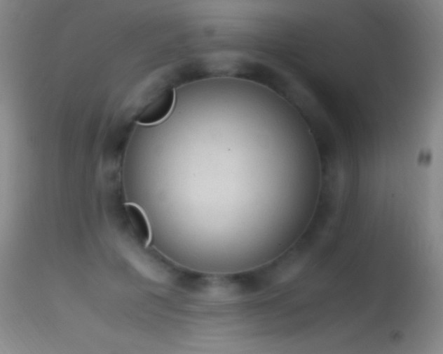 X0000114660601200910201532