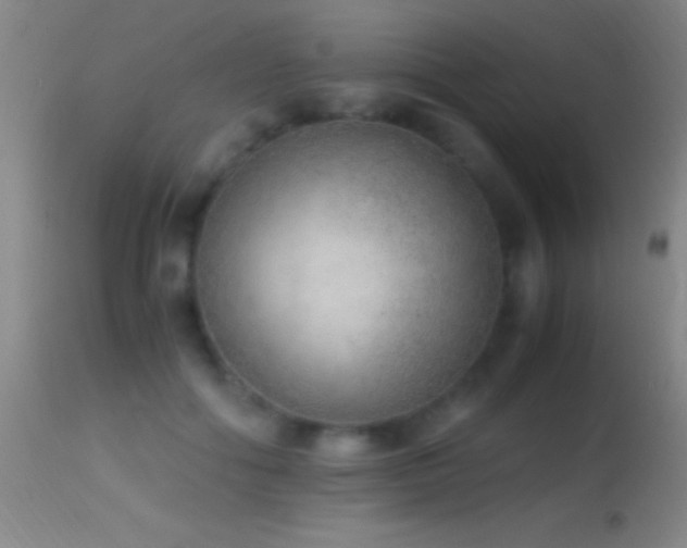 X0000114660602200910201532