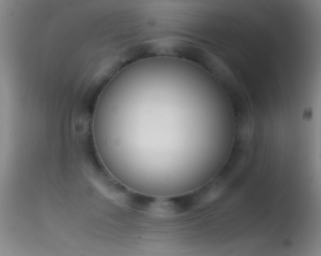 X0000114660603200910201532