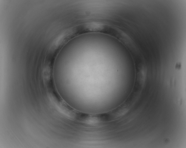 X0000114660604200910201532