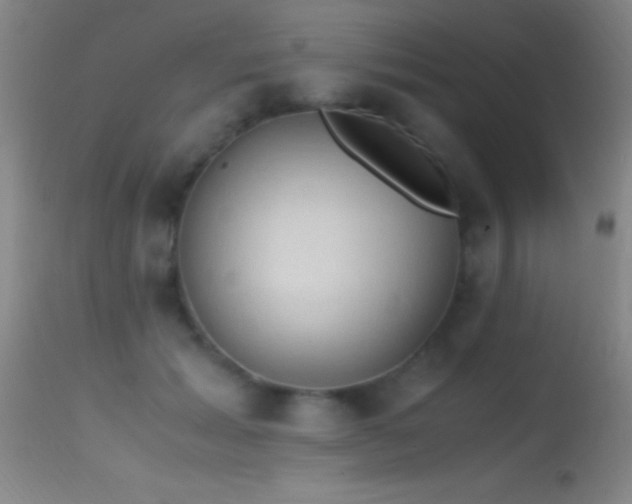 X0000114660605200910201532