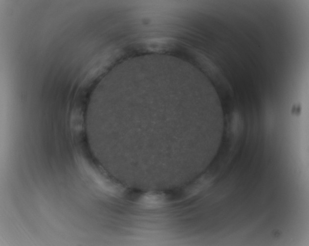 X0000114660606200910201532