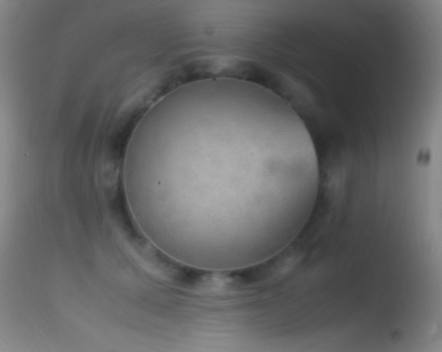 X0000114660607200910201532