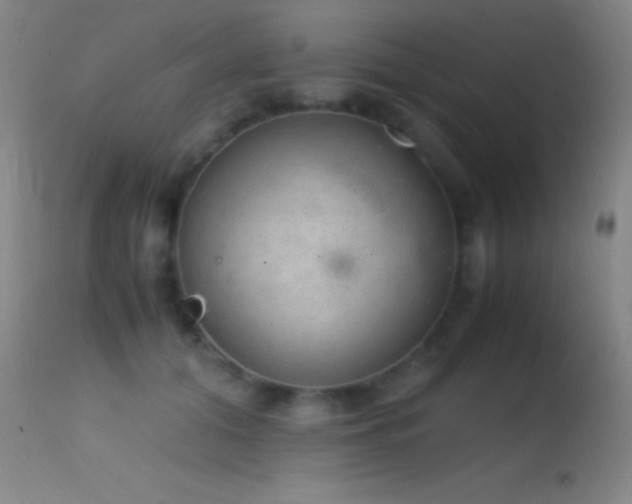 X0000114660608200910201532