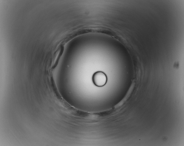 X0000114660609200910201532