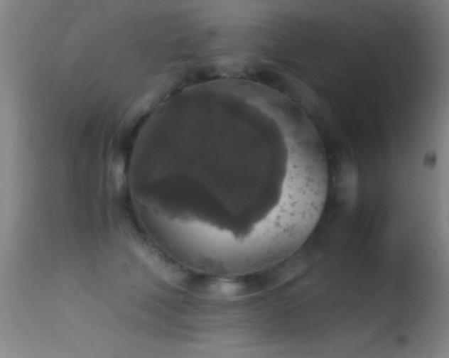 X0000114660610200910201532