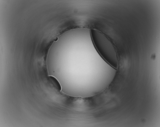 X0000114660611200910201532