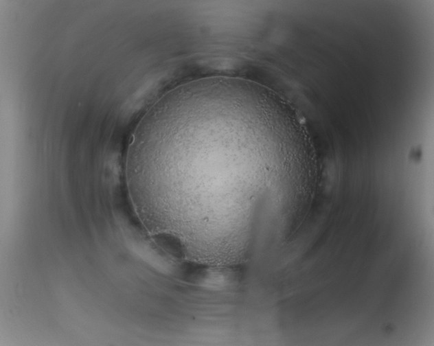 X0000114660612200910201532