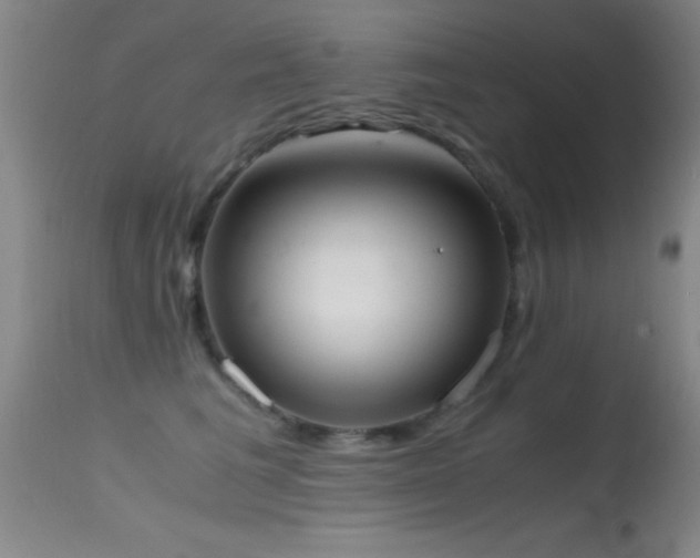 X0000114660613200910201532