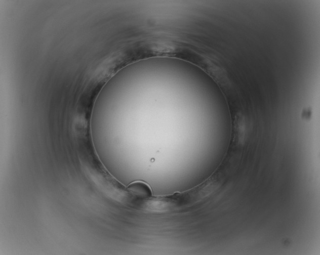 X0000114660614200910201532