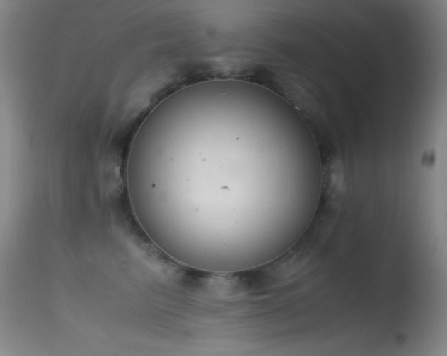 X0000114660615200910201532