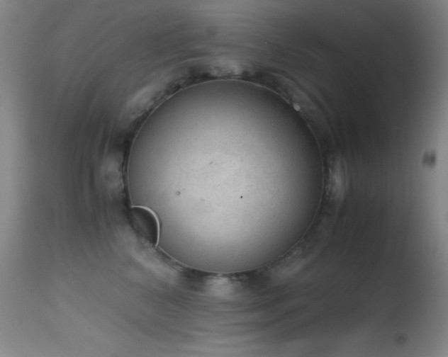 X0000114660616200910201532