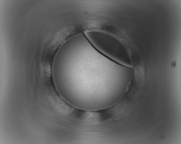 X0000114660617200910201532