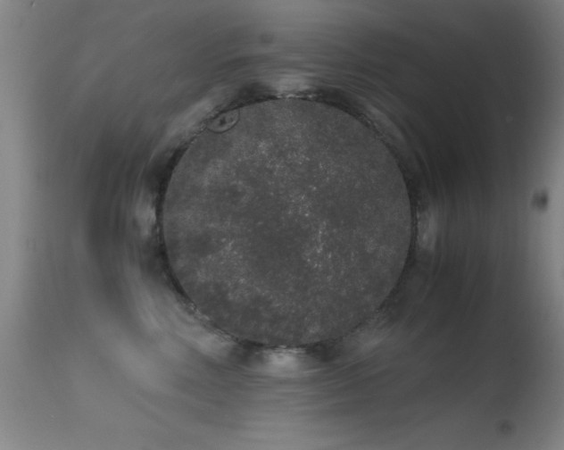 X0000114660618200910201532