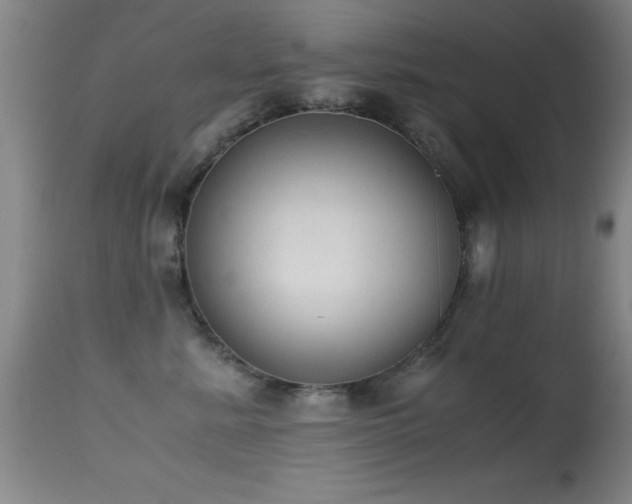 X0000114660619200910201532