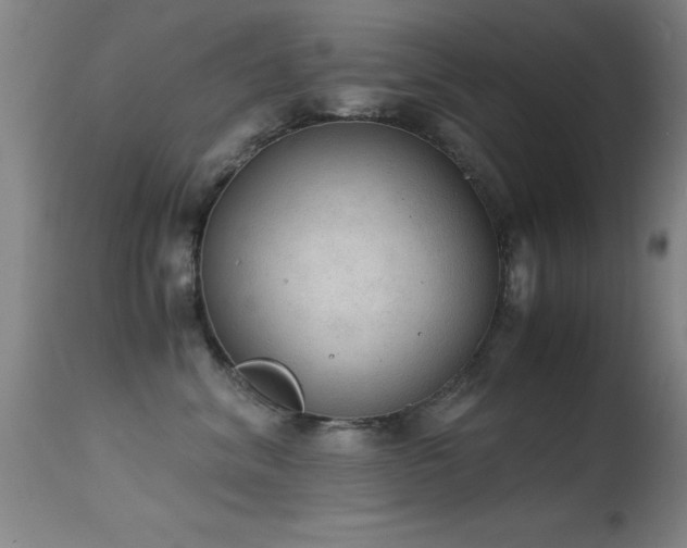 X0000114660620200910201532