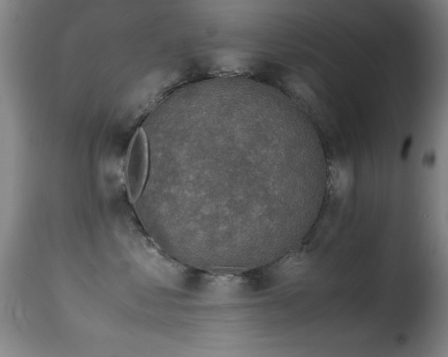 X0000114660621200910201532