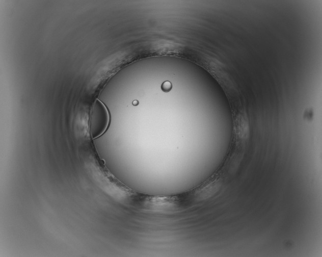 X0000114660622200910201532