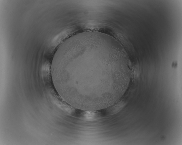 X0000114660623200910201532