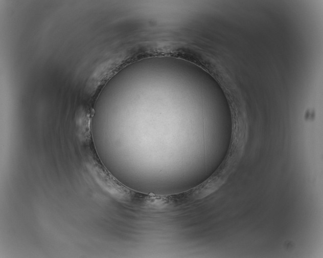 X0000114660624200910201532