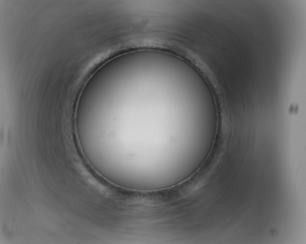 X0000114660625200910201531