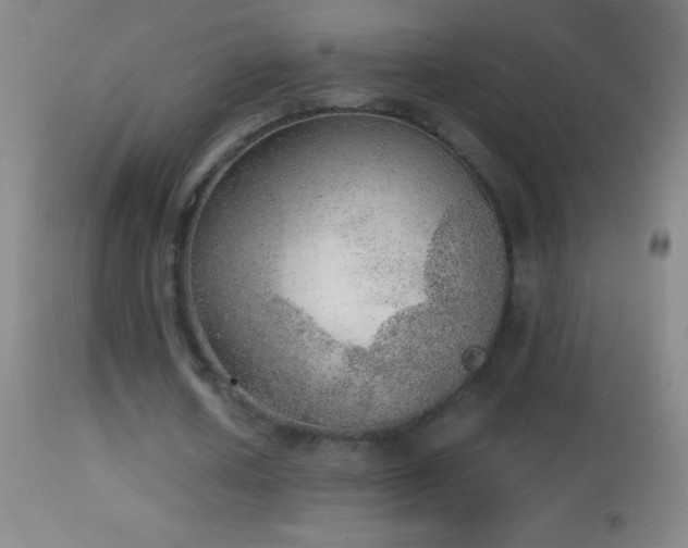 X0000114660626200910201531