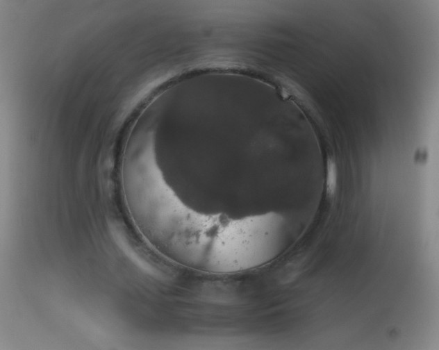 X0000114660627200910201531