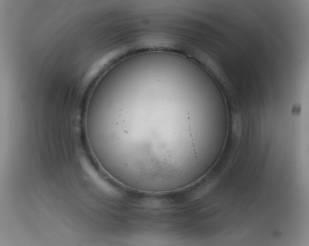 X0000114660629200910201531