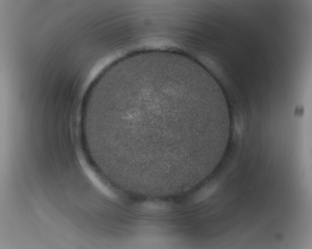 X0000114660630200910201531