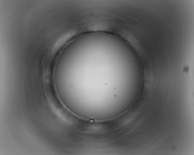 X0000114660631200910201531