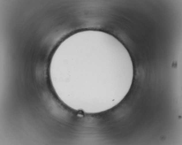 X0000114660632200910201531