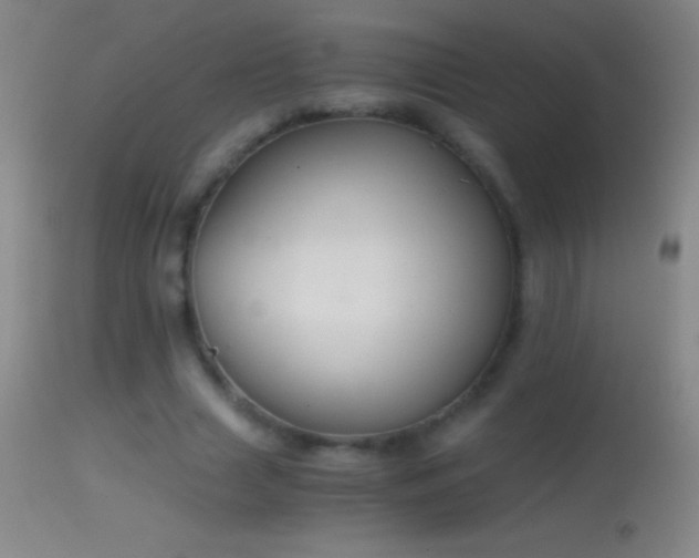 X0000114660633200910201531