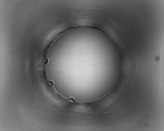 X0000114660635200910201531