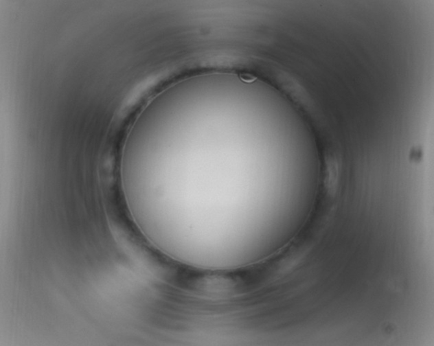 X0000114660636200910201531