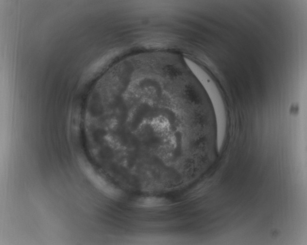 X0000114660637200910201531