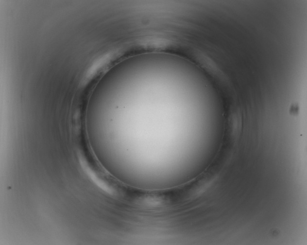 X0000114660638200910201531