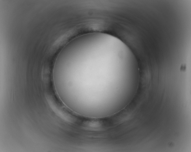 X0000114660639200910201531